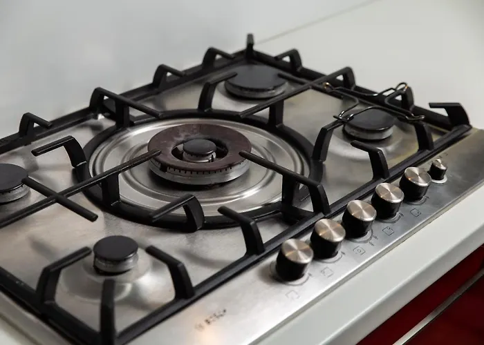 Sweet Nest Under The Dome